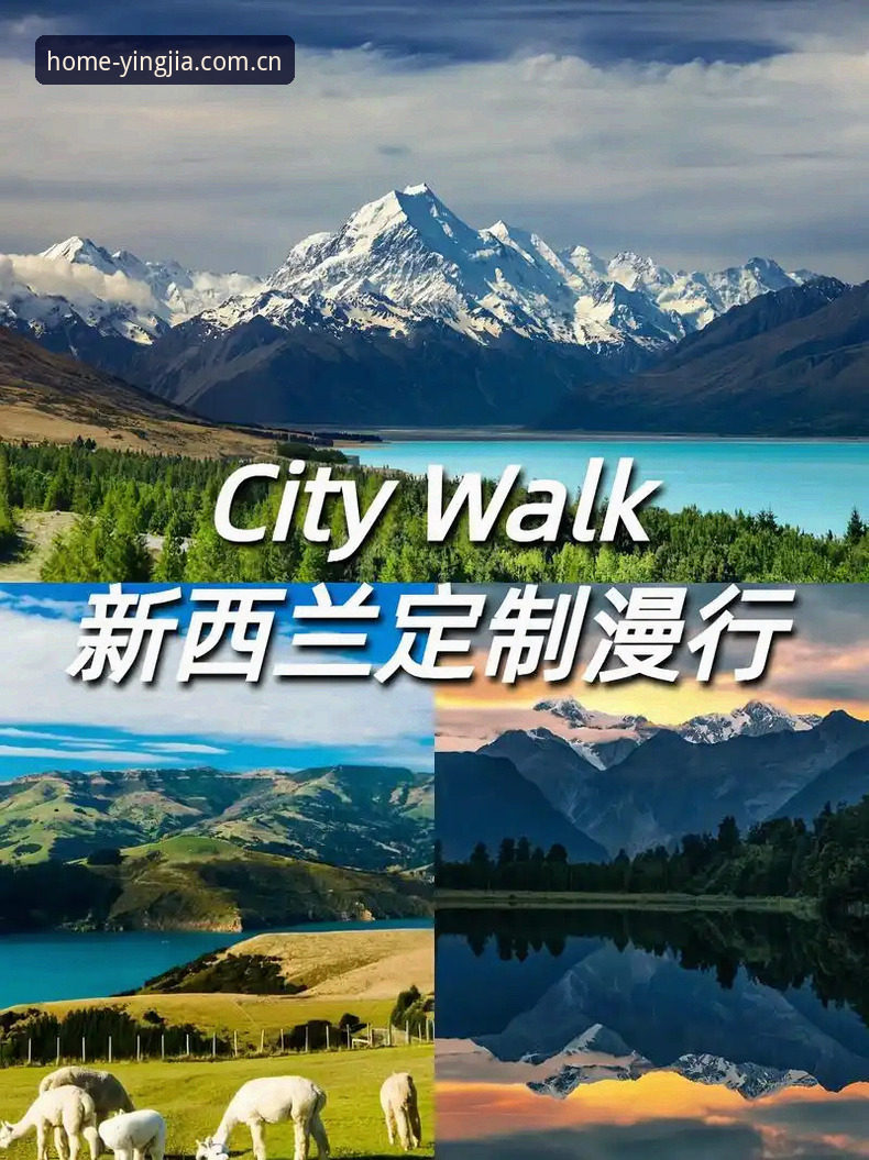 埃及2-1逆转新西兰，G组出线形势与盈嘉体育赔率解读完整指南