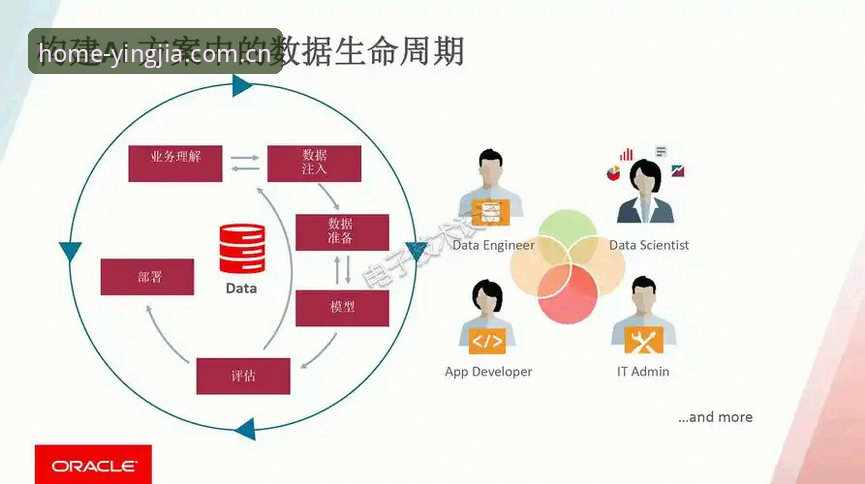 盈嘉体育新版本注册优惠的4个关键变化：从安装包大小到数据更新频率